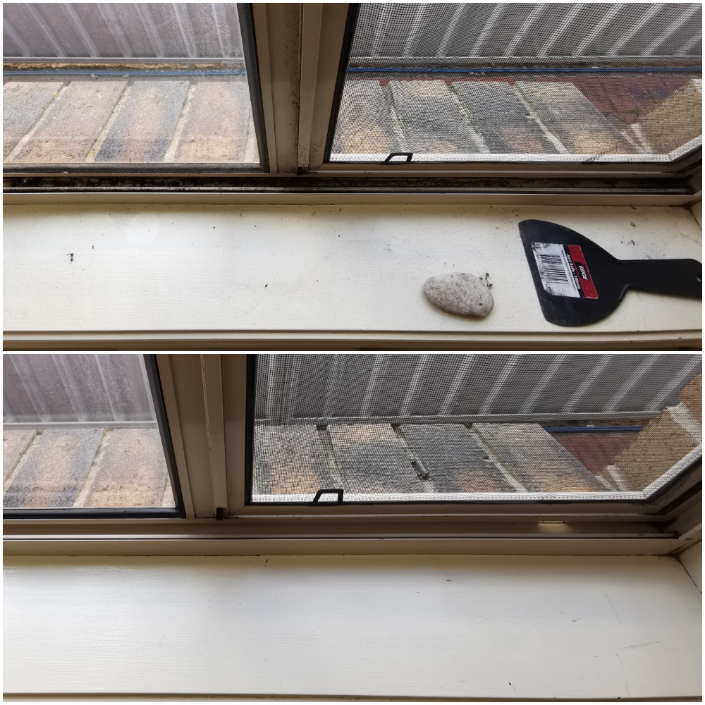 Window Before and After Track Cleaning