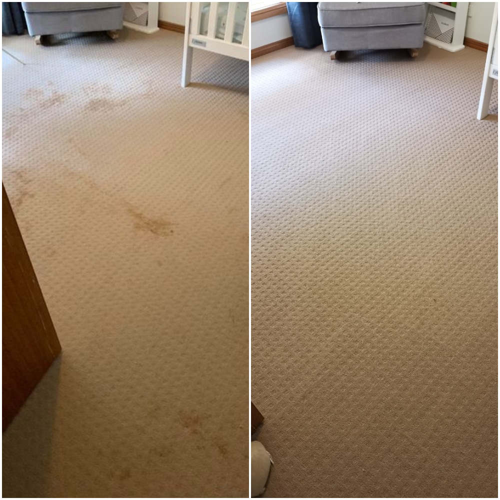 Coffee Stain Removal from Carpet