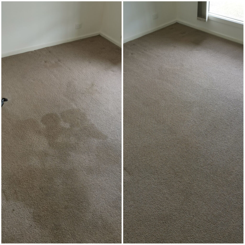 Carpet before cleaning and after cleaning