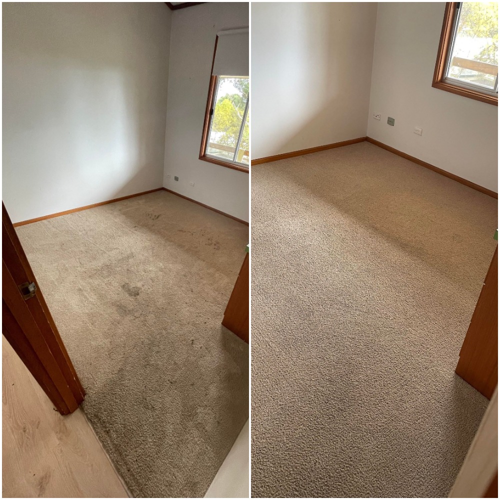 rug cleaning service adelaide